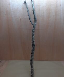 Large Cork Branch - 80-110cm - 22