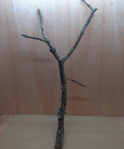 Large Cork Branch - 80-110cm - 17