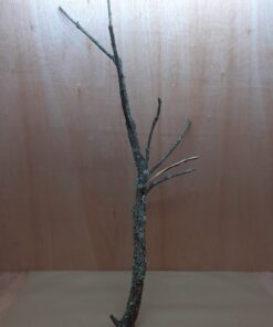 Large Cork Branch - 80-110cm - 7