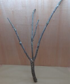 Large Cork Branch - 80-110cm - 24