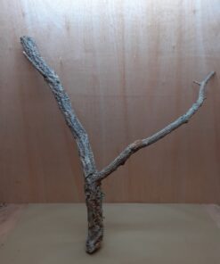 Large Cork Branch - 80-110cm - 28