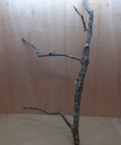 Large Cork Branch - 80-110cm - 29