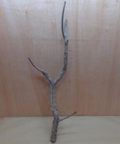 Medium Cork Branch - 40-80cm - 4