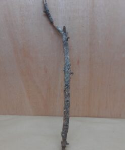 Medium Cork Branch - 40-80cm - 22
