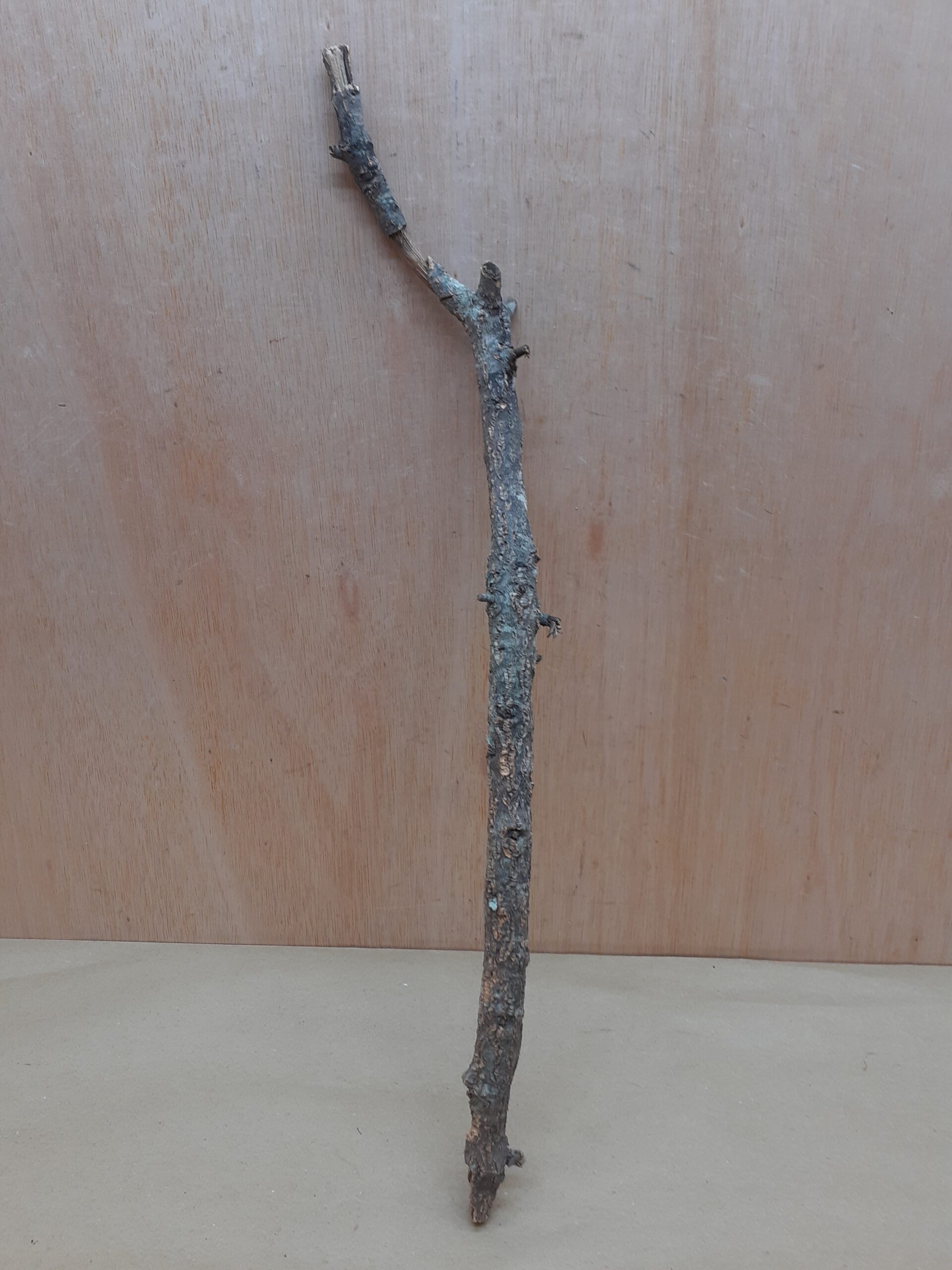 Medium Cork Branch - 40-80cm - 22
