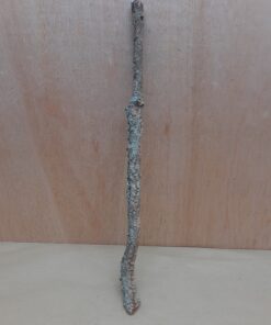 Medium Cork Branch - 40-80cm - 15