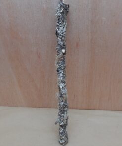 Medium Cork Branch - 40-80cm - 14