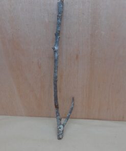 Medium Cork Branch - 40-80cm - 16