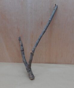 Medium Cork Branch - 40-80cm - 8