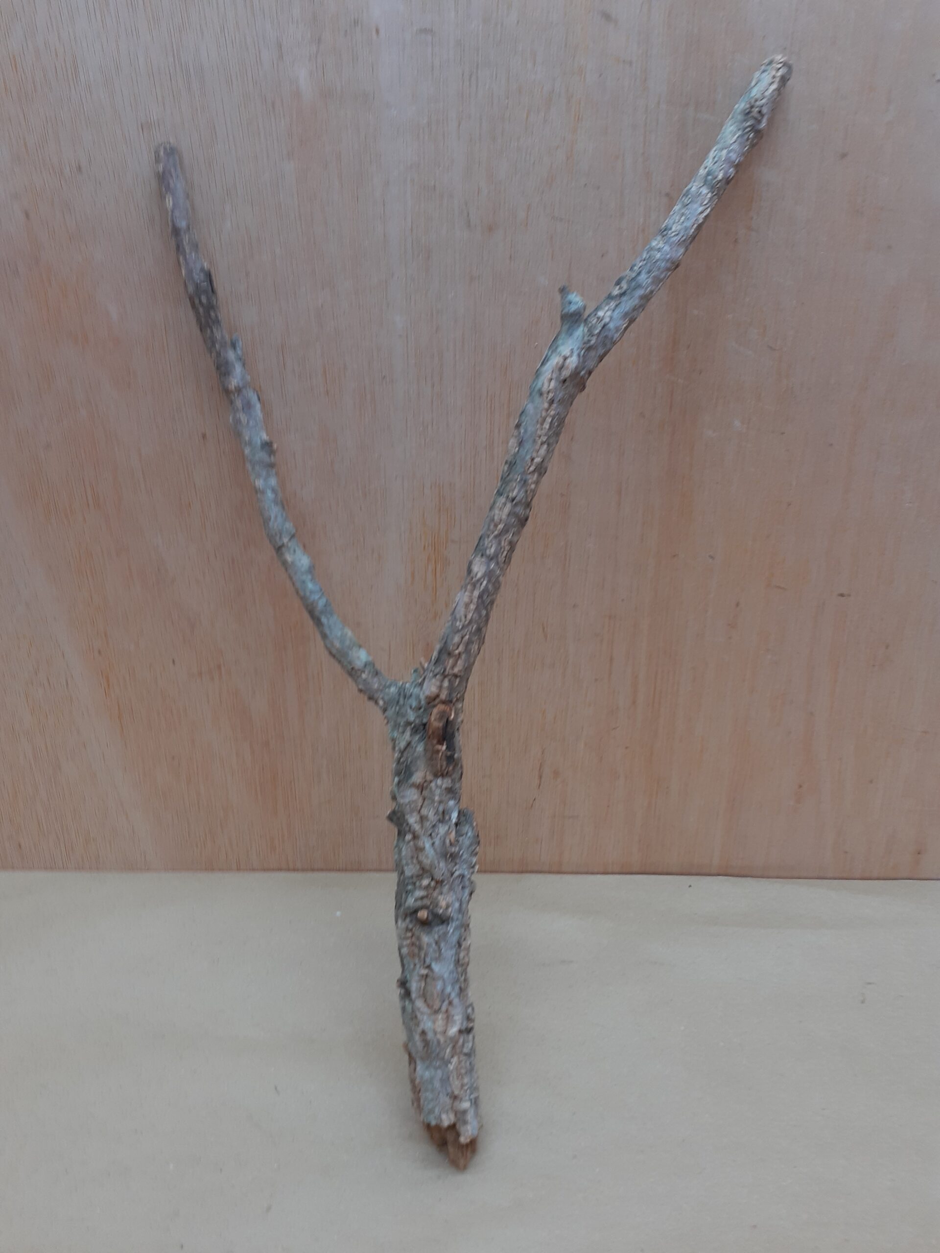 Medium Cork Branch - 40-80cm - 30