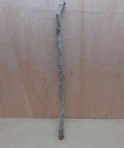 Medium Cork Branch - 40-80cm - 6