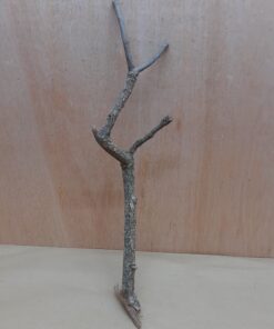 Medium Cork Branch - 40-80cm - 19