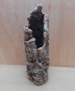 Small Cork Branch - Upto 40cm - 29