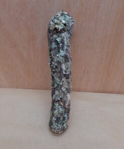 Small Cork Branch - Upto 40cm - 19