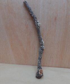 Small Cork Branch - Upto 40cm - 23