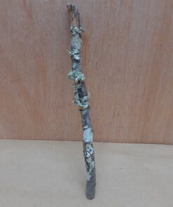 Small Cork Branch - Upto 40cm - 25