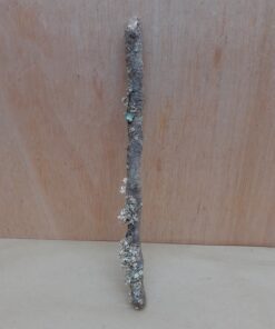 Small Cork Branch - Upto 40cm - 22