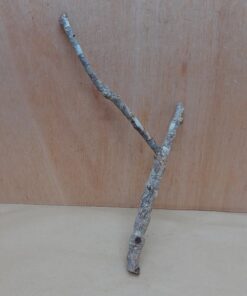 Small Cork Branch - Upto 40cm - 10