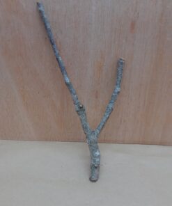 Small Cork Branch - Upto 40cm - 8