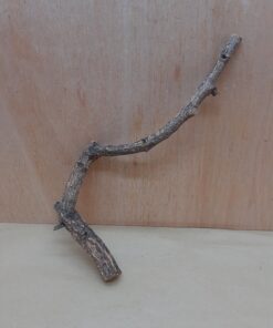 Small Cork Branch - Upto 40cm - 6