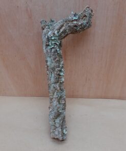 Small Cork Branch - Upto 40cm - 7