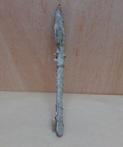 Small Cork Branch - Upto 40cm - 24