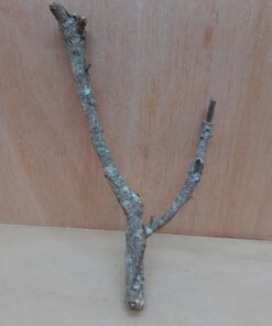 Small Cork Branch - Upto 40cm - 12