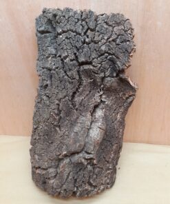 Large Cork Flat 1