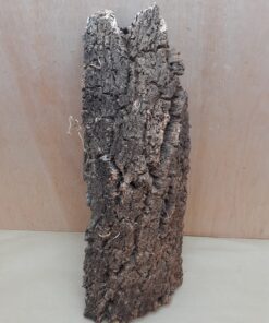 Large Cork Flat 14