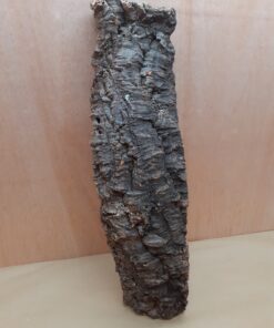 Large Cork Flat 15