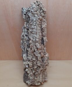 Large Cork Flat 2