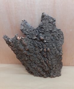 Large Cork Flat 29