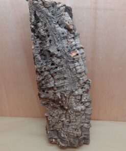 Large Cork Flat 29
