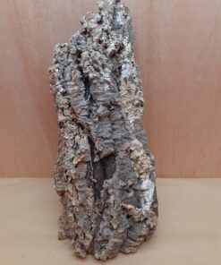 Large Cork Flat 5