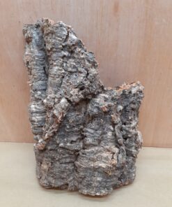 Medium Cork Flat 18