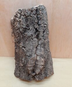 Medium Cork Flat 4