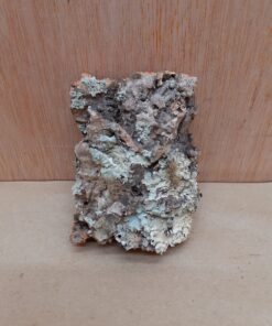 Small Cork Flat 17