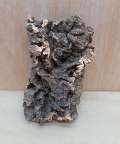 Small Cork Flat 18