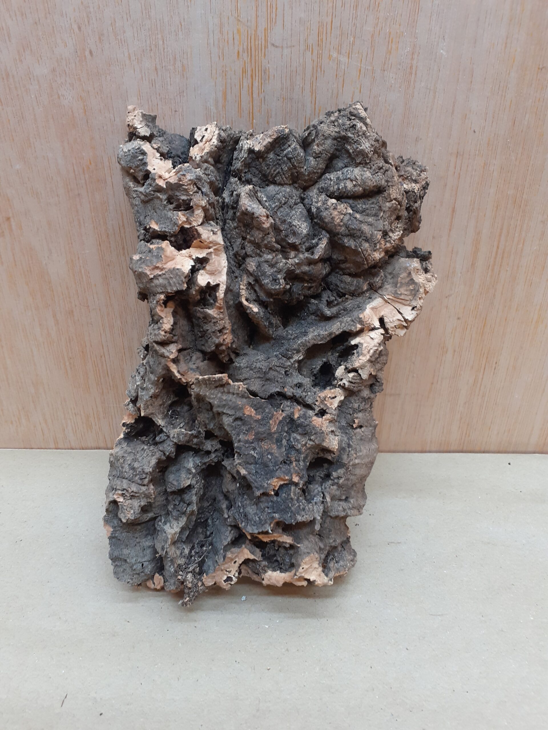 Small Cork Flat 18