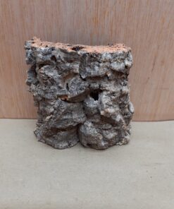 Small Cork Flat 19