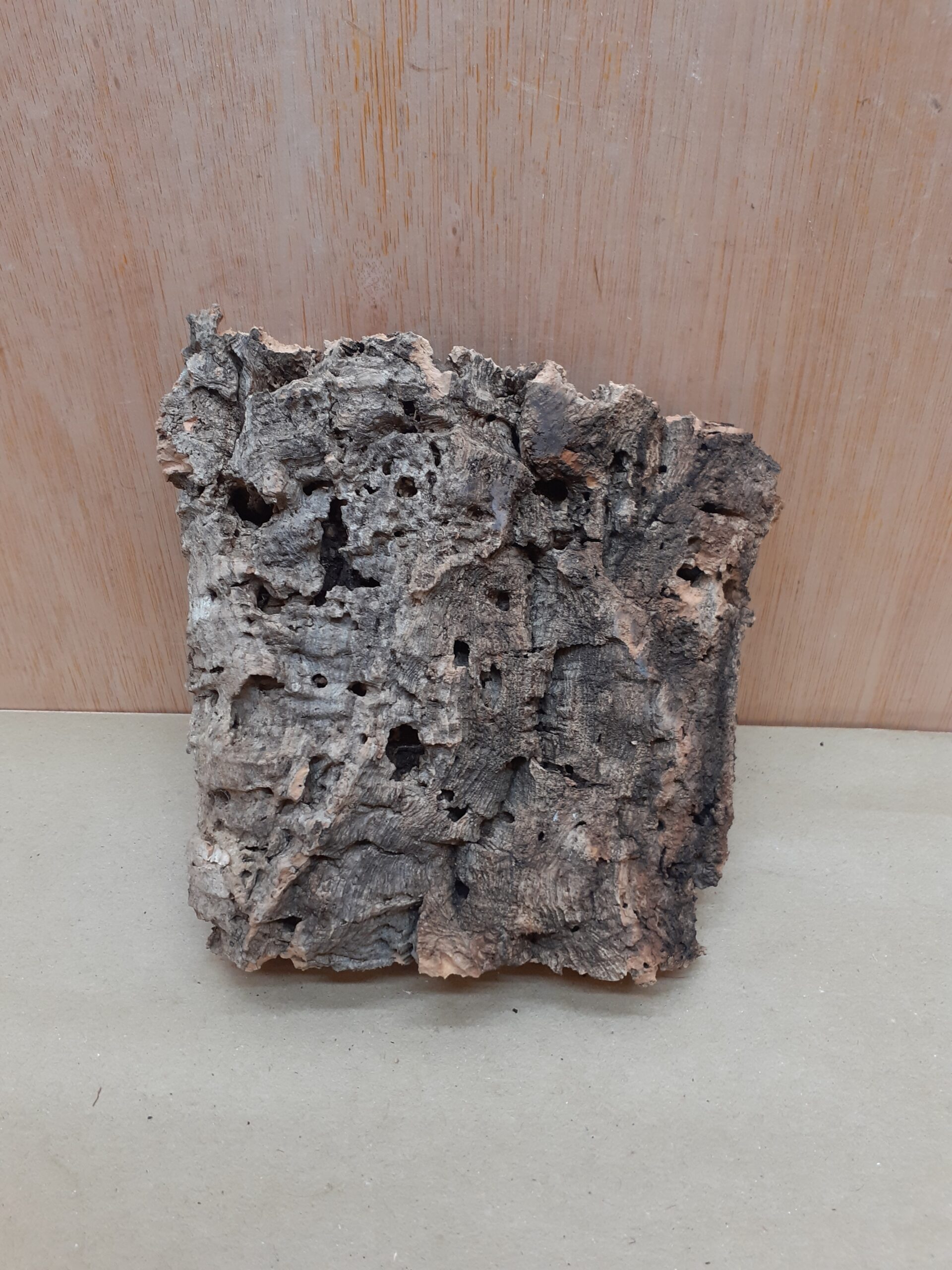 Small Cork Flat 6