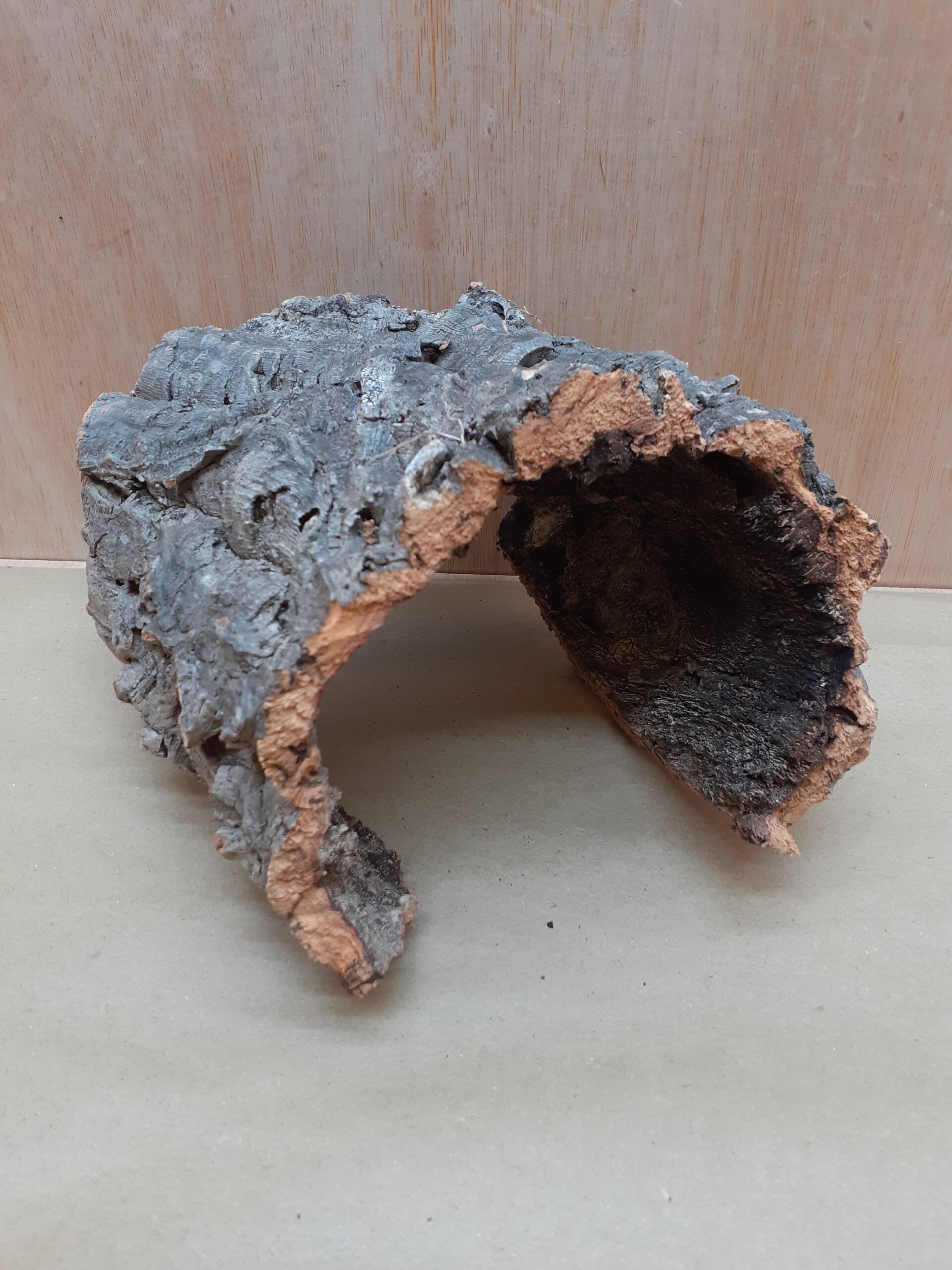 Medium Cork Hide 5