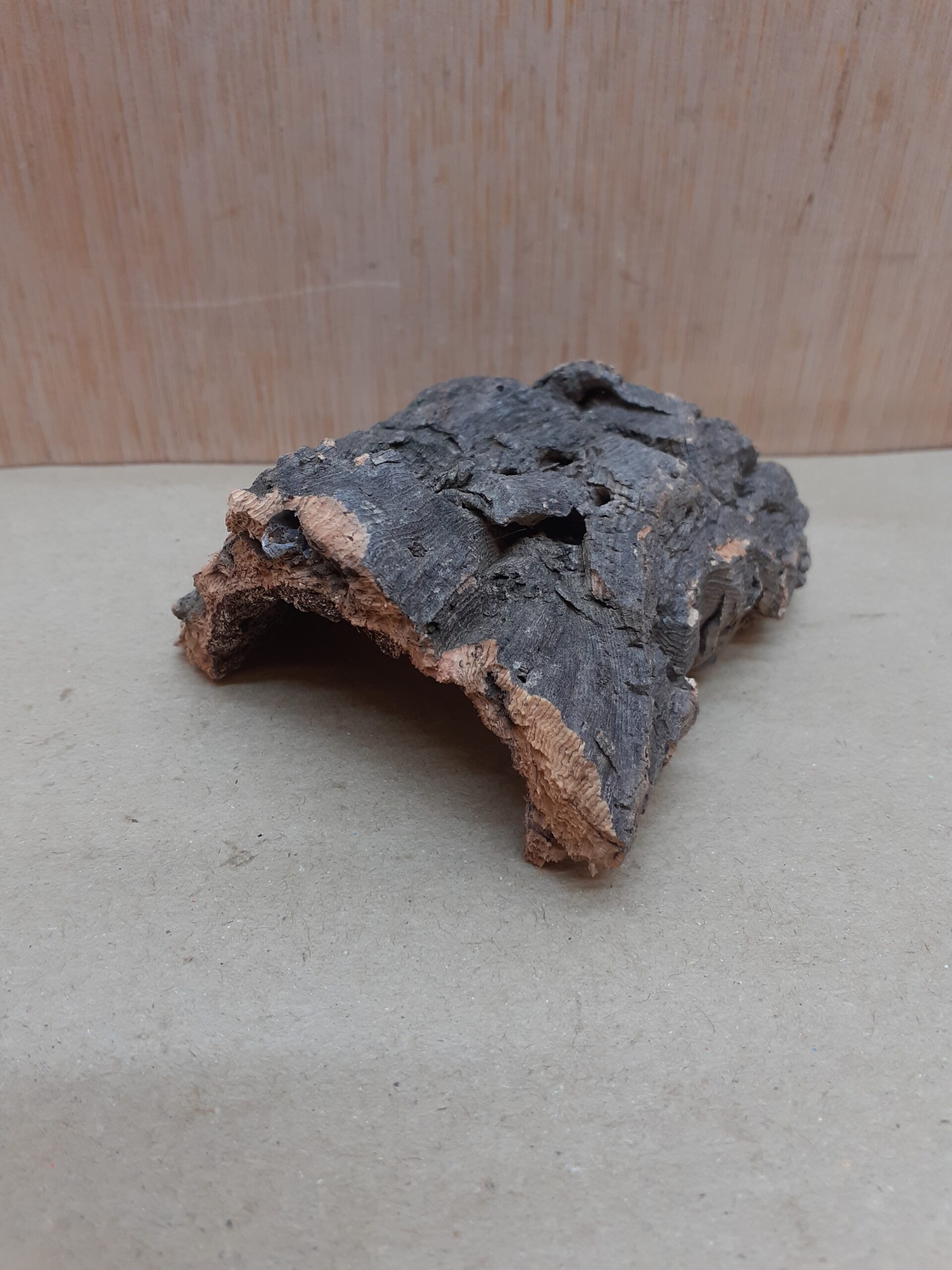Small Cork Hide 15