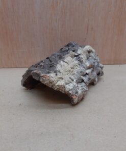 Small Cork Hide 16