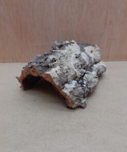 Small Cork Hide 20