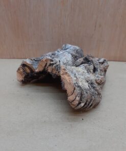 Small Cork Hide 21