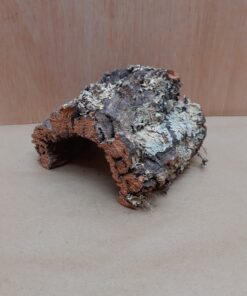Small Cork Hide 5