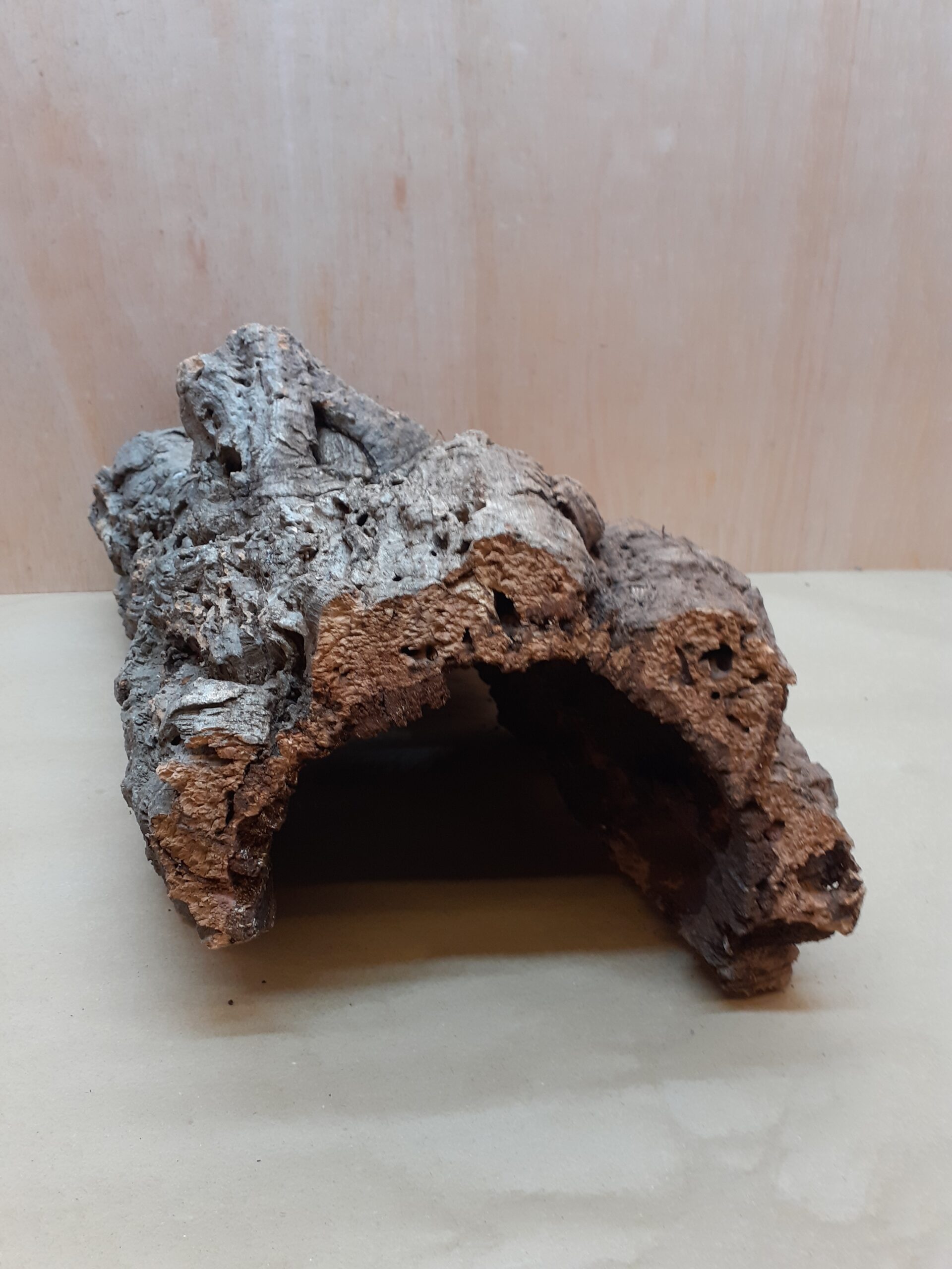 XL Cork Hide 1