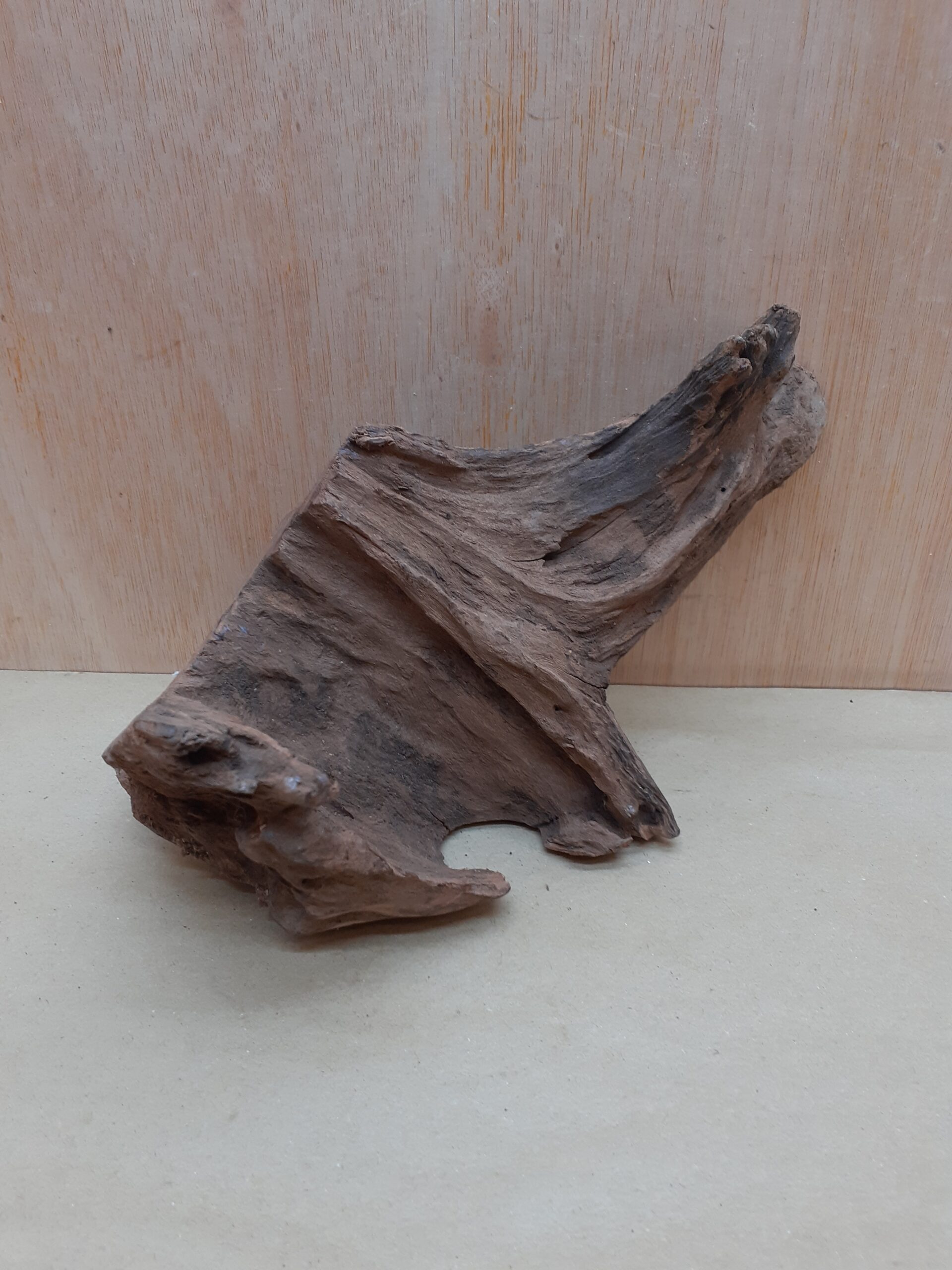 Driftwood - Medium 5