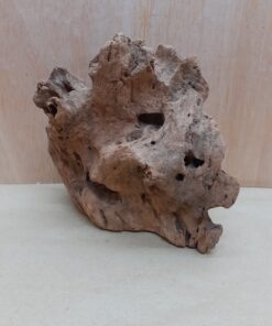 Driftwood - Small 1